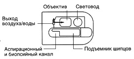 http://www.olympus.co.ru/tbl/jg-1t40-scheme.jpg